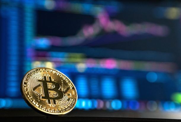 비트코인 44% 폭락 지금 사도 될까 — 도지코인 -65% 들고 있는 내가 공부해봤습니다